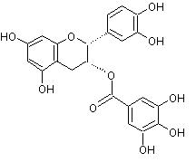 (-)-Epicatechin gallate (ECG)